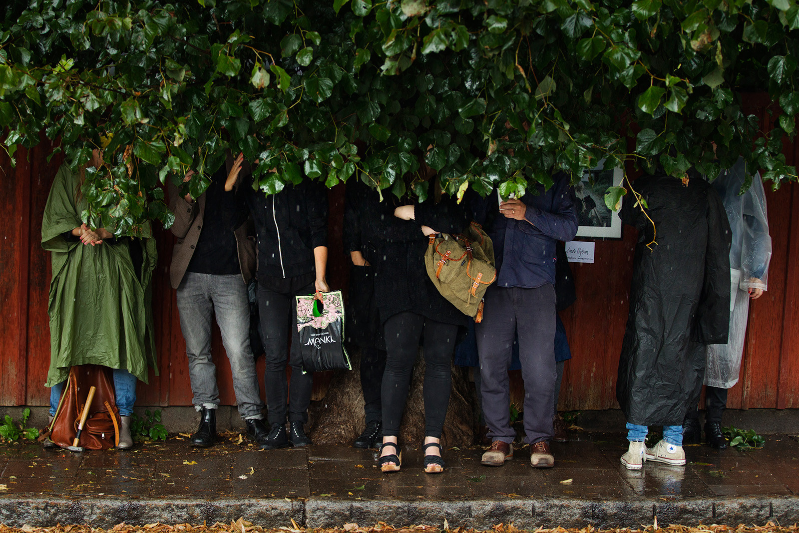 strom, déšť, nohy, BEN, pokrýt, regn, Trad, skydd