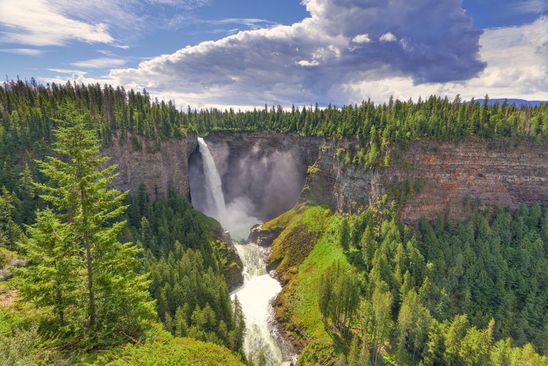 modrý, stromy, Červené, nebe, oranžový, hnědý