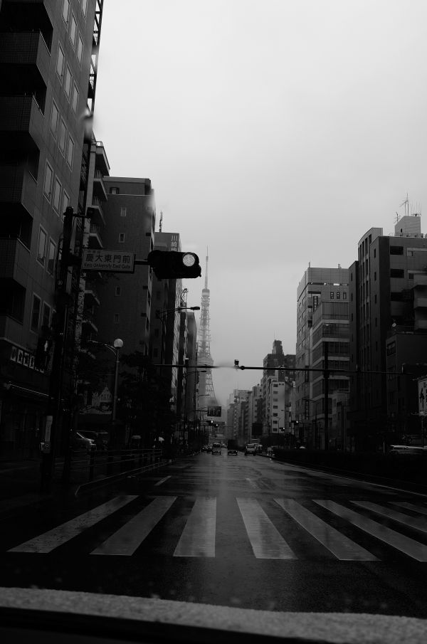 Japan,white,black,monochrome,city,street