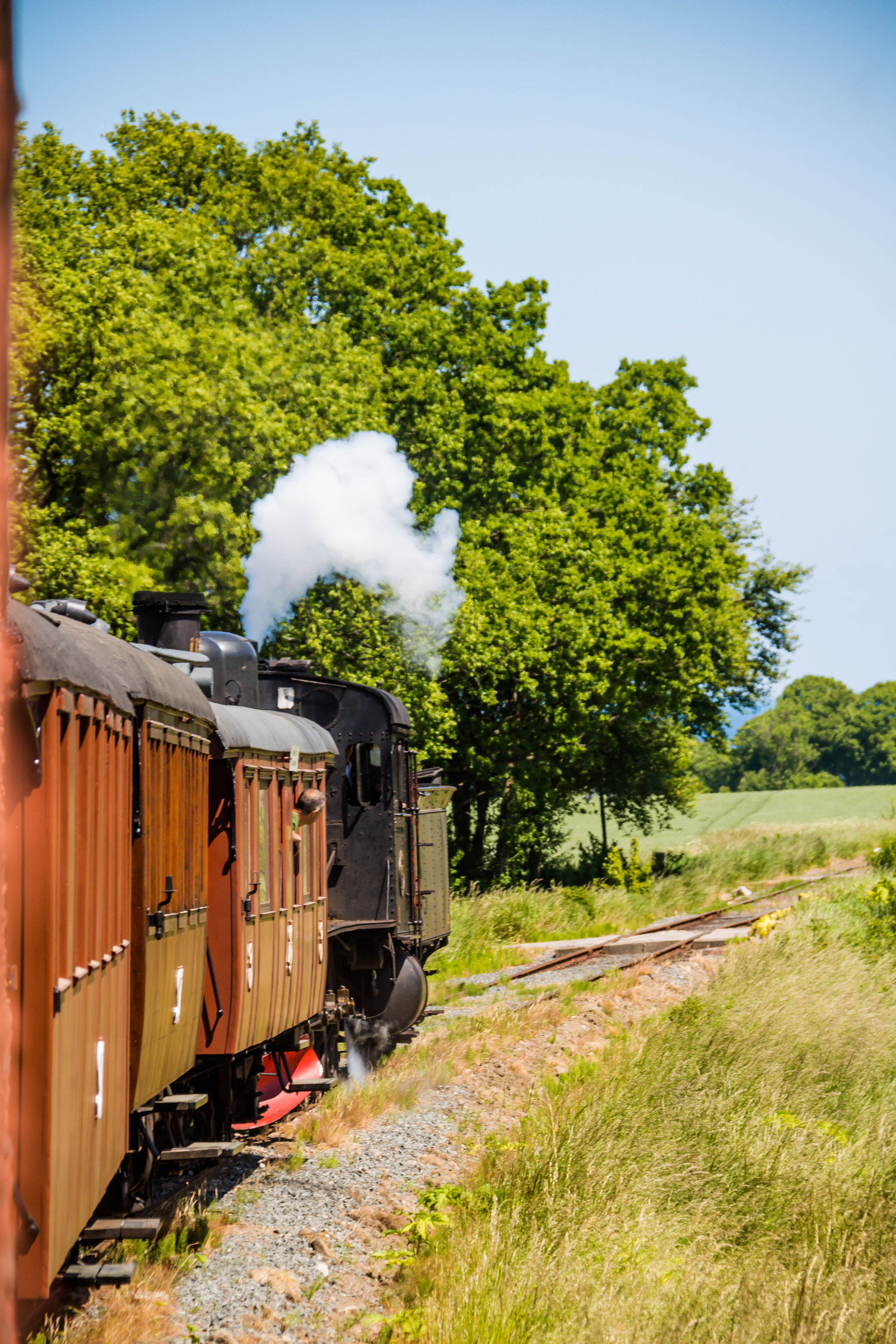 เก่า, สวน, หญ้า, ยานพาหนะ, ฟิลด์, รถไฟ, สีเขียว, ขนส่ง, หัวรถจักร, ต้นไม้, ทางรถไฟ, ฤดูใบไม้ร่วง, ดอกไม้, ลาน, sterlen, t gstation, nglok, แกมมา, exif model canoneos760d, กล้องทำให้ Canon, กล้องรุ่น canoneos760d, ตำแหน่งทางภูมิศาสตร์, เลนส์ Exifs efs18200mmf3556is, exif ทำให้ canon, exif isospeed 100, รูรับแสง exif 71, exif focallength 120 มม, ติดตาม, Sarp br, museij rnv g, sk nskaj rnv gar, sterlenmuseij rnv g, เกวียน, รถไฟไอน้ำ, Vagn, j rnv g, ทุ่งหญ้า, สนามหญ้า, เขตชนบท, การขนส่งทางรถไฟ, หุ้นรีด