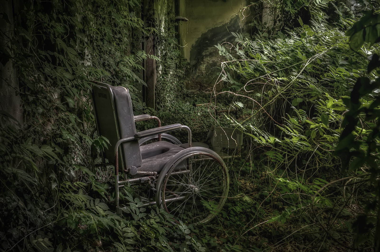 slunečnímu záření, krajina, les, Příroda, městský, opuštěný, tráva, zelená, židle, džungle, rozklad, deštný prales, badatel, urbex, strom, list, rostlina, kolo, vegetace, samota, zálesí, abbandonato, Solitudine, tráva rodina, prales, sanatorium, ospedale, psichiatrico, avvolgente