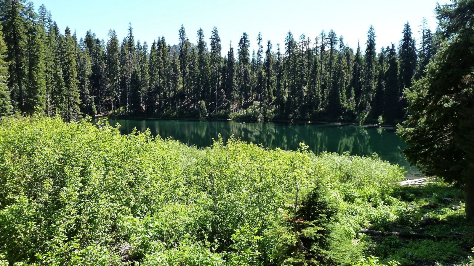 Hintergrundbilder Wald, See, Natur, Fluss, Fichte, Nationalpark, Tal