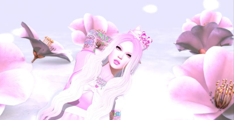 květ, růžový, krása, okvětní lístek, kvetoucí rostlina, květ