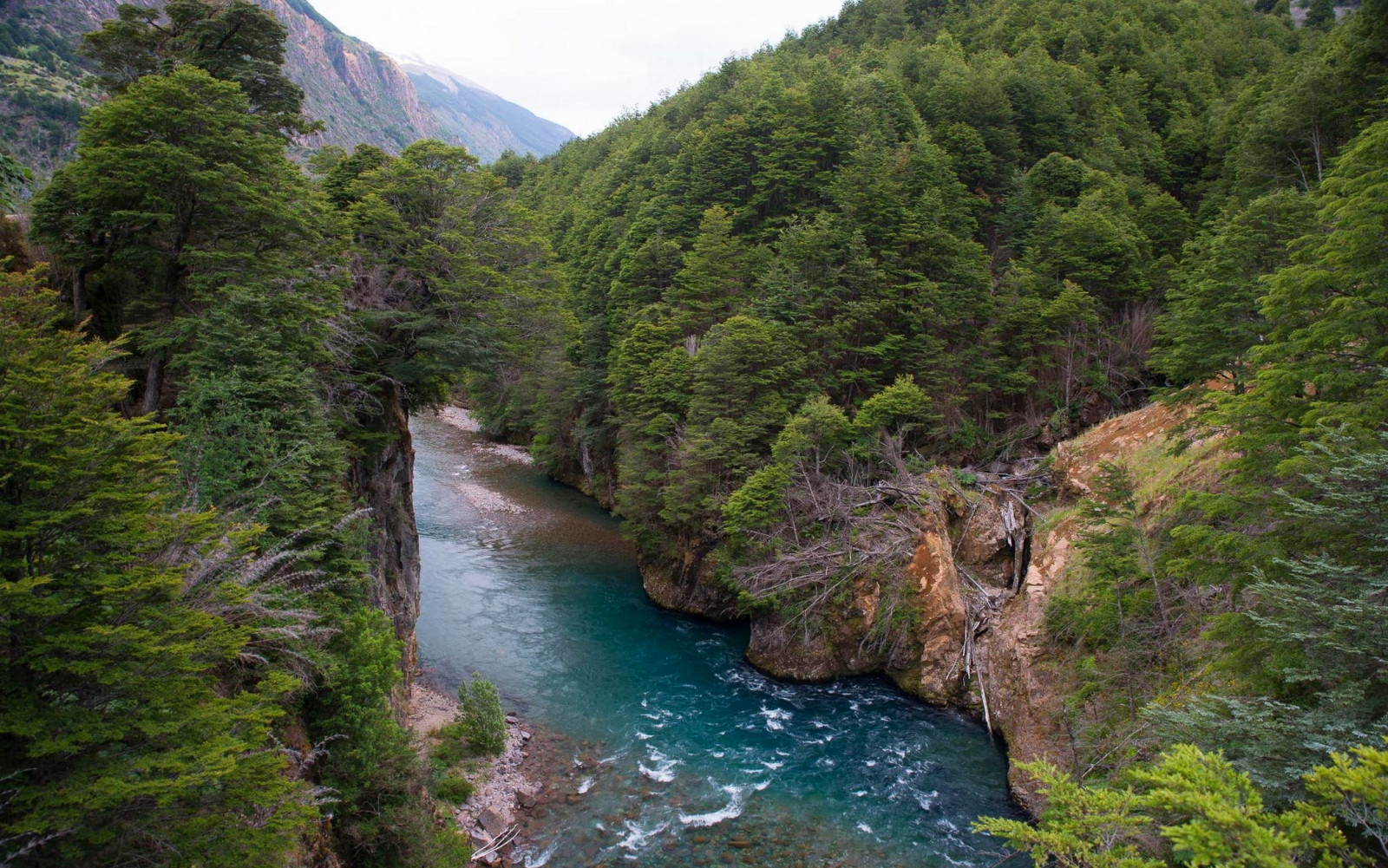 bomen, landschap, Bos, bergen, water, natuur, groen, rivier-, turkoois, fjord, vallei, canyon, bergpas, wildernis, Chili, stroom, regenwoud, ravijn, berg-, snel, bergmeertje, landform, geografisch kenmerk, ecosysteem, waterlichaam, geologische fenomeen, bergketen, waterpartij