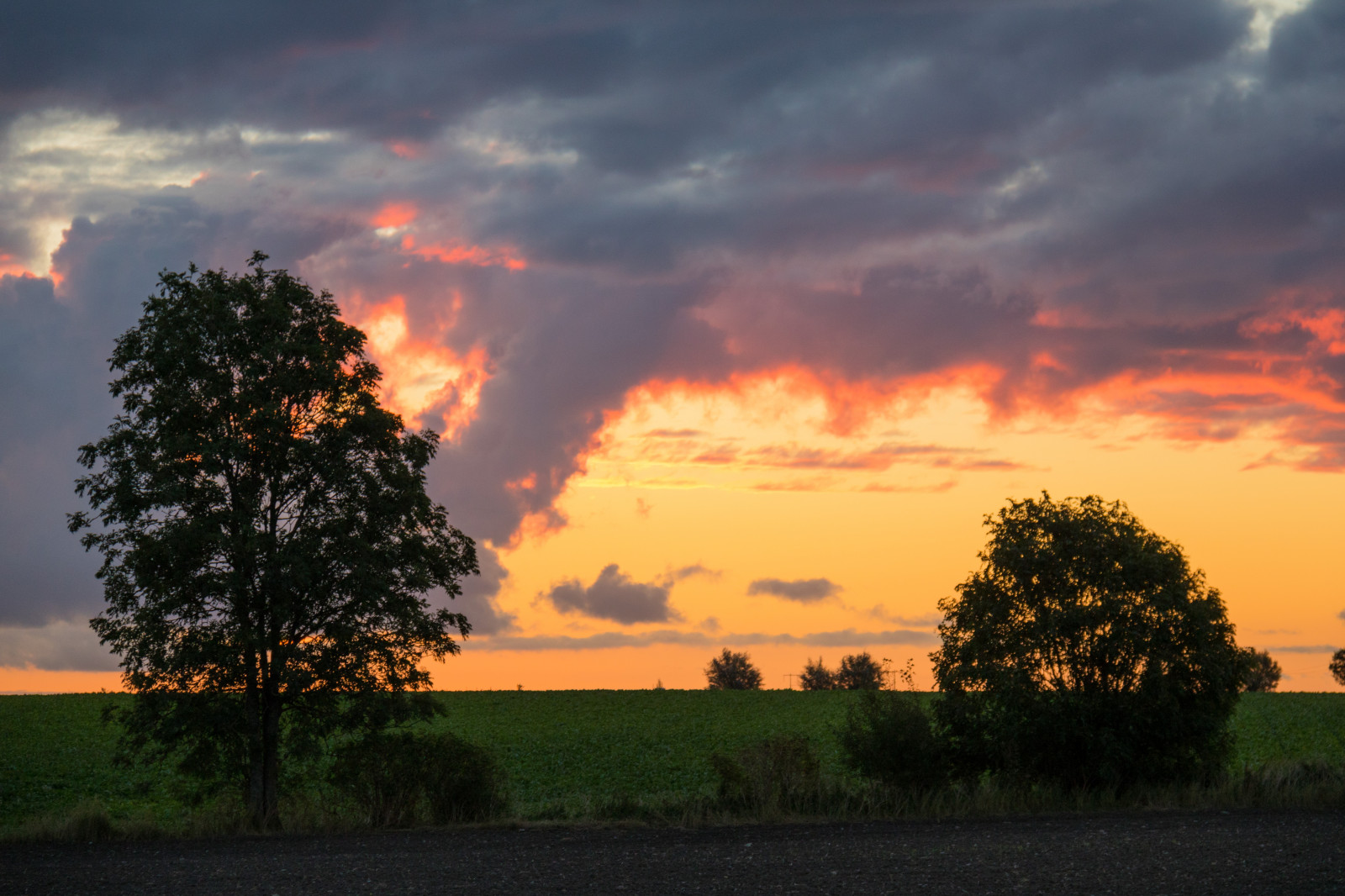 luce del sole, paesaggio, tramonto, natura, cielo, campo, Alba, sera, mattina, Sole, orizzonte, crepuscolo, nube, albero, alba, ora d'oro, himmel, moln, soluppg ng, s dersl TT, Landskap, modello canoneos760d exif, geocountry, Marca fotocamera Canon, Geocity, modello di fotocamera canoneos760d, geostate, geolocalizzazione, Lente exif efs18200mmf3556is, apertura exif 56, exif fare canon, exif ISOSPEED 320, exif focalLength 80 millimetri, gyllenetimmen, simlinge, prateria, area rurale, ultimi bagliori, cielo rosso al mattino, fenomeno meteorologico