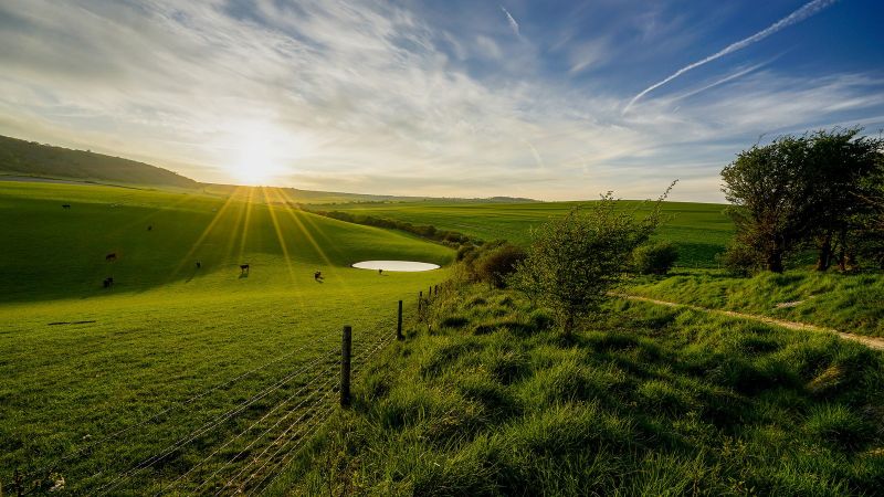 luce del sole, alberi, paesaggio, collina, natura, erba luce del sole, alberi, paesaggio, collina, natura, erba