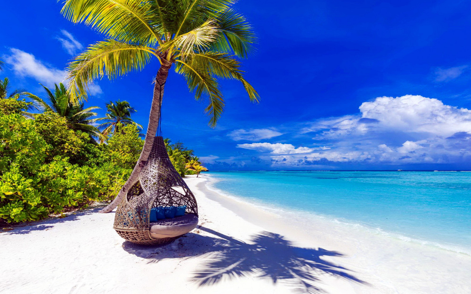 Immagini Spiagge Tropicali Gratis