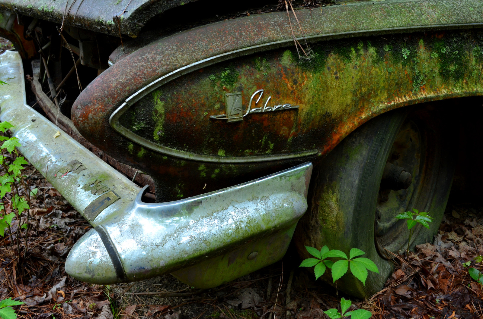Wallpaper garden, car, abandoned, grass, vehicle, green, rust, Nikon