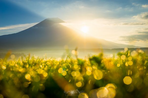 Japan, sunlight, landscape, sunset, hill, nature