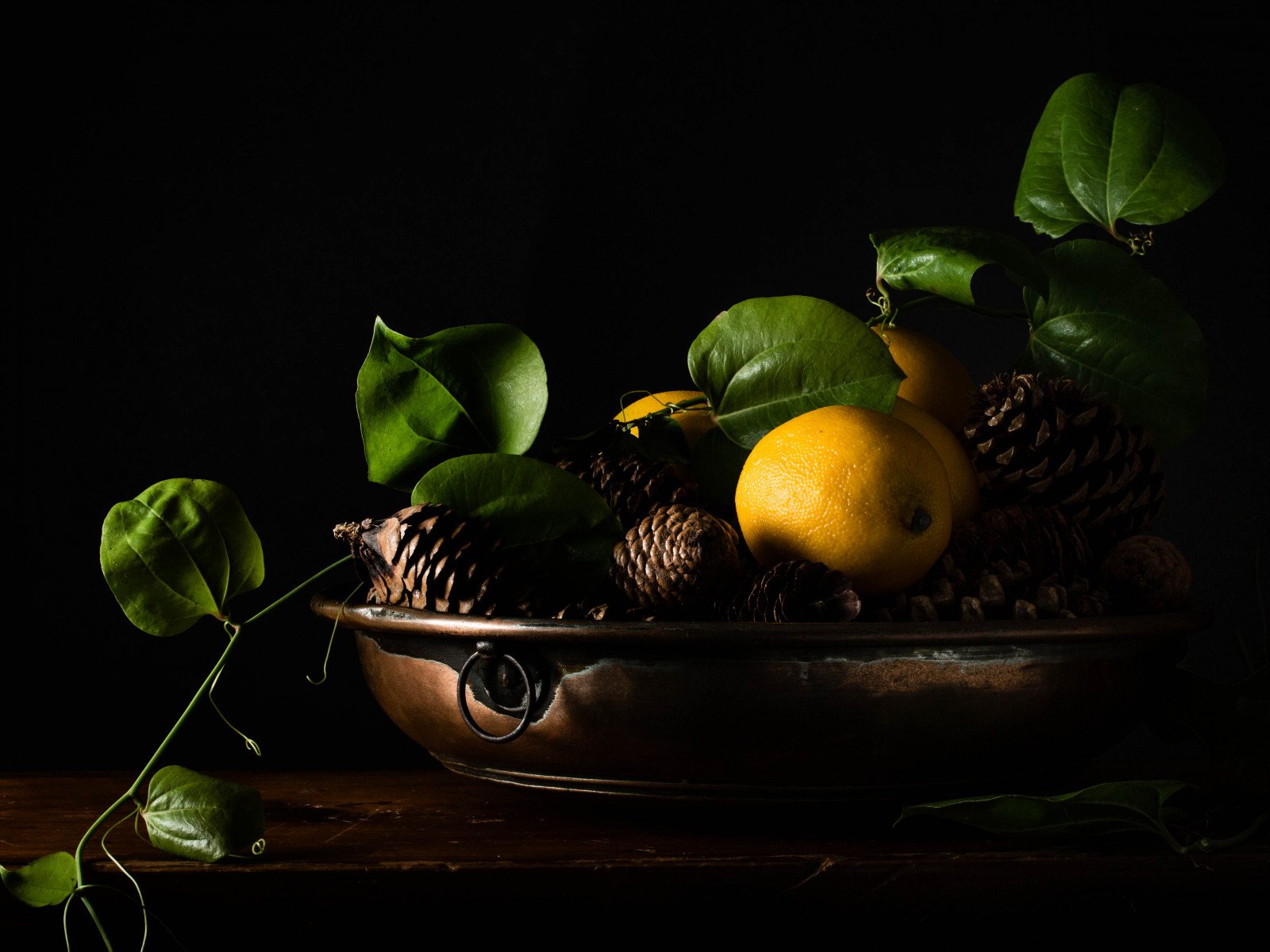 stálý život, blackbackground, citróny, softbox, boční světlo, copperbowl