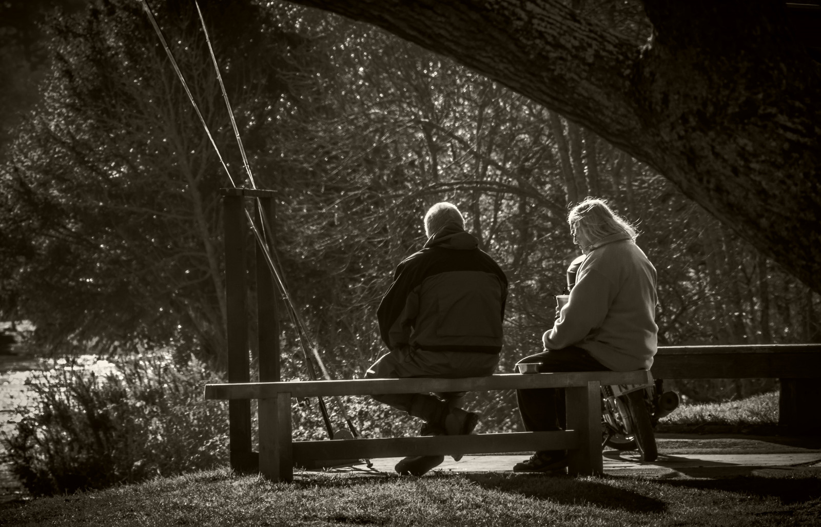 slunečnímu záření, krajina, les, Černá, černobílý, noc, voda, Příroda, nebe, zima, fotografování, větev, rybolov, světlo, strom, rostlina, fotografie, tma, momentka, Inverness, zálesí, Černý a bílý, monochromatické fotografování, dřevina, jev, Thefishwillwait, stock photography