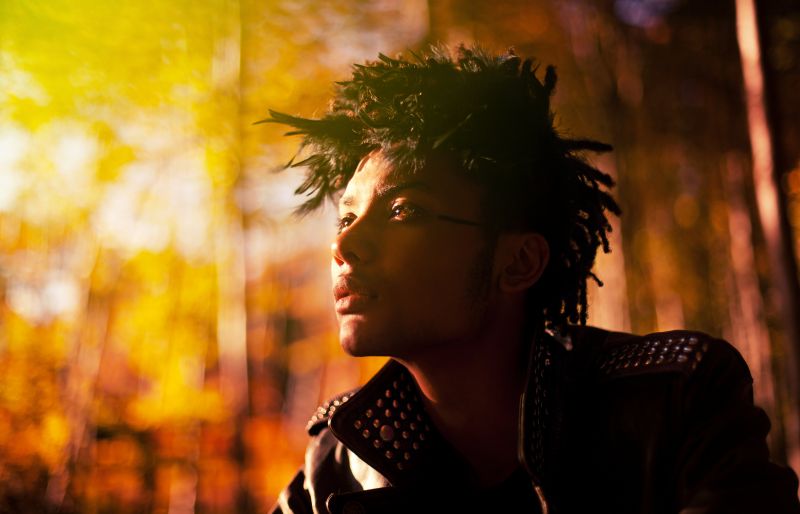 strom, žlutý, světlo, slunečnímu záření, list, člověk strom, žlutý, světlo, slunečnímu záření, list, člověk