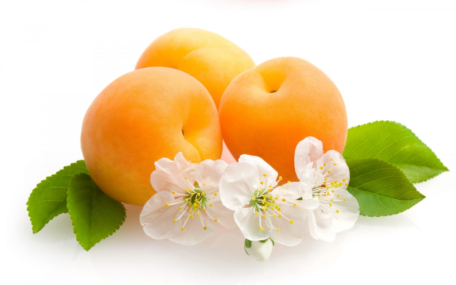 Wallpaper leaves, food, flowers, branch, fruit, tangerine, apricots