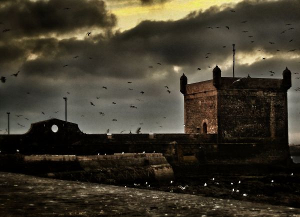 landscape,sea,city,water,horror,building