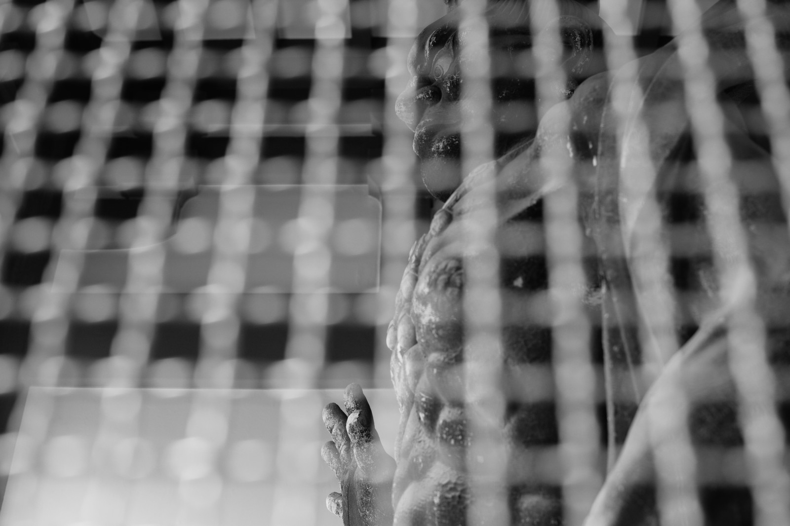 bílý, Černá, černobílý, fotografování, Leica, Tokio, M, světlo, barva, tělesné, ruka, tvar, čára, fotografie, Zeiss, carlzeiss, leicam, typ240, Meguro, planární, planar250, 250, megurofudoson, Černý a bílý, monochromatické fotografování, zblízka