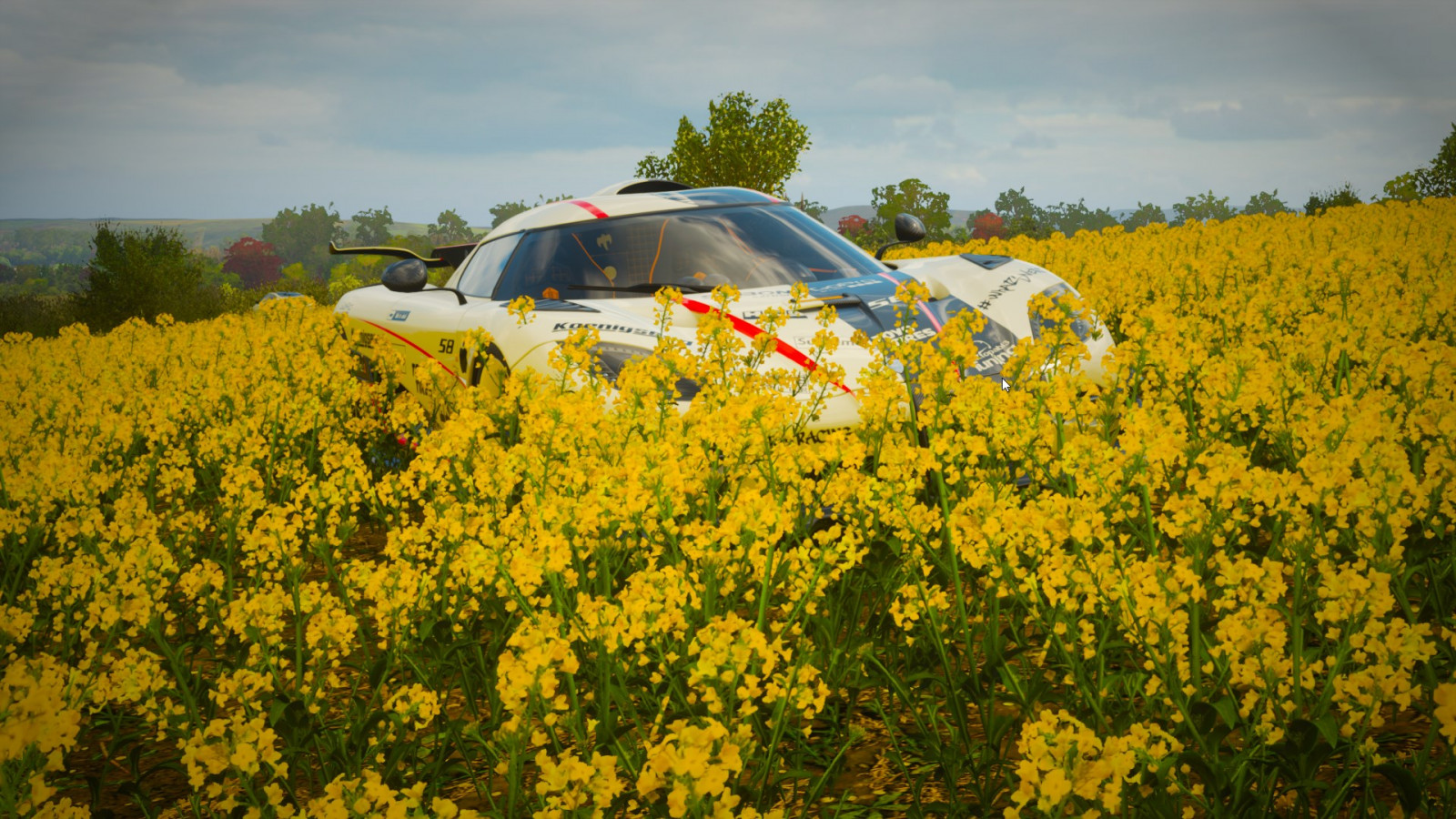bloem, fabriek, wolk, hemel, landvoertuig, auto, band, plant community, voertuig, ecoregio, wiel, venster, Natural landscape, vegetatie, geel, motorvoertuig, gras, grasland, landschap, landbouw, boom, kruidachtige plant, groundcover, vlakte, weide, bloeiende plant, prairie, struik, veld-, Forb, gewas, Wildflower, subshrub, People in nature, cash crop, weg, plantage, gezinsauto, shrubland, mosterd en kool familie, canola, automotive design, sportwagen, weide, steppe, bodem, compacte auto, zonnebloem, farm, stadsauto, wereld rally auto, heuvel