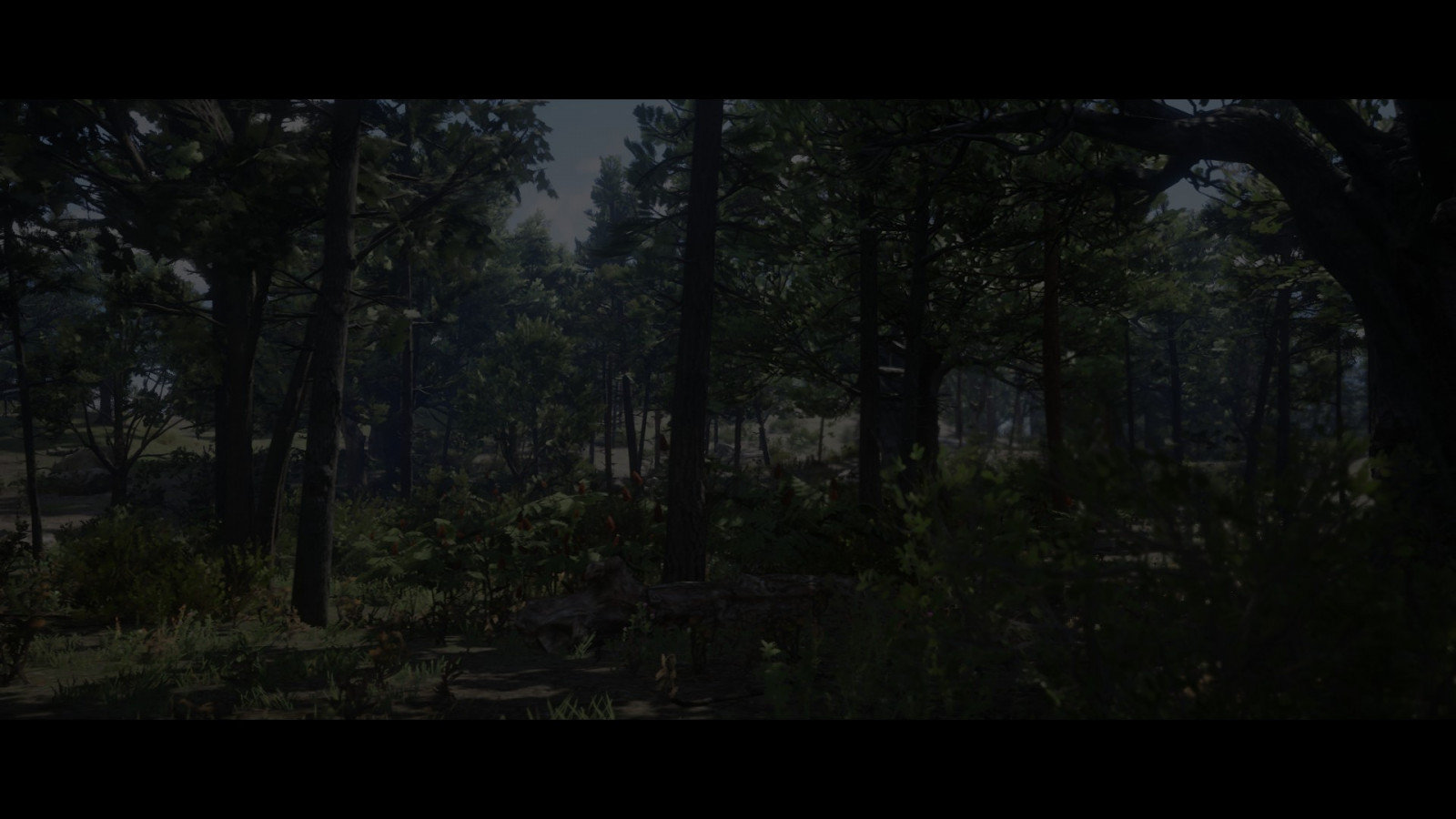 Rockstar Games, Příroda, videohry, Red Dead Redemption 2