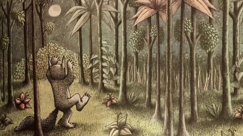 les,noc,džungle,Kde jsou ty divoké věci,Maurice Sendak,výkres