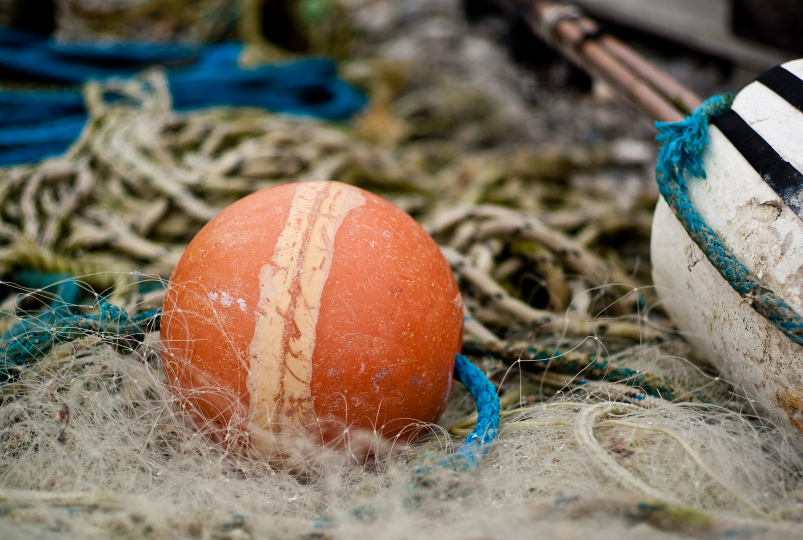 skib, hav, strand, havn, Frankrig, Leica, sejlads, Nord, 50mm, udforske, bw, web, udforsket, havn, de, streng, æg, Havn, kanal, SW, Schiff, falaise, Summicron, støvle, engelsk, frankreich, m8, rekreation, nordsee, Normandie, Seine-Maritime, Normandiet, hafen, vinter squash, påskeæg, Segelboot, Netz, Boje, øverst, betaler, Segeln, hautenormandie, Caux, rmelkanal, Yport, rullesten, Daval, buoj