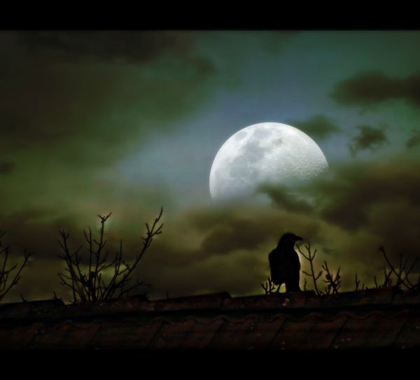 night, sky, Moon, nature, silhouette, clouds