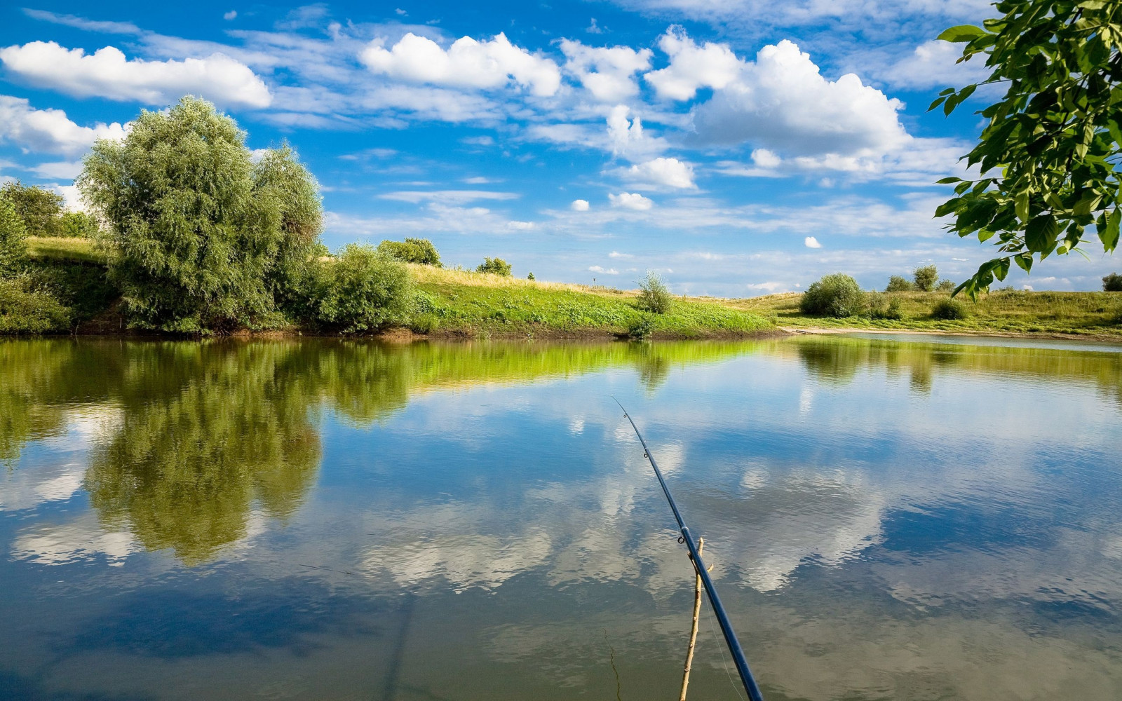 Hintergrundbilder : Angeln, See, Bäume, Sommer-, days off, Angelzubehör
