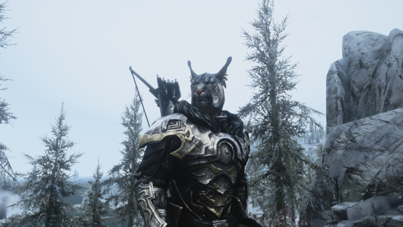 zima, The Elder Scrolls V Skyrim, Khajiit, Snímek obrazovky zima, The Elder Scrolls V Skyrim, Khajiit, Snímek obrazovky