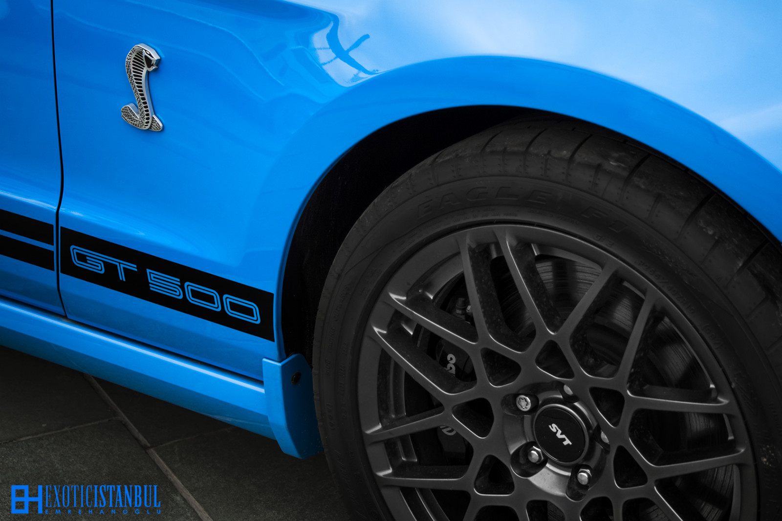 Červené, detail, klasický, Brod, krocan, logo, classiccar, sval, had, Turkiye, Istanbul, exotický, americký, Shelby, hotties, Mustang, Ford Mustang, závoďák, Emre, SVT, mustanggt, ponycar, GT500, americancar, shelbygt500, GT350, svtcobra, shelbymustang, mustangcobra, egzotik, exoticistanbul, istanbulexotic, emrehanoglu, egzotikistanbul