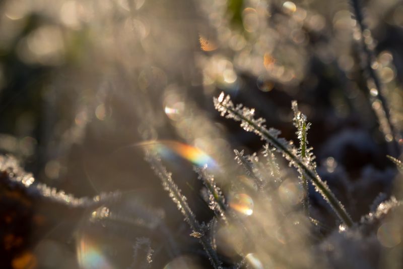 napfény,természet,téli,víz,visszaverődés,fényképezés