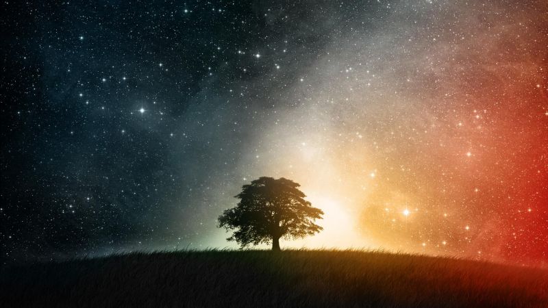 stromy, digitální umění, noc, galaxie, Příroda, hvězdy stromy, digitální umění, noc, galaxie, Příroda, hvězdy