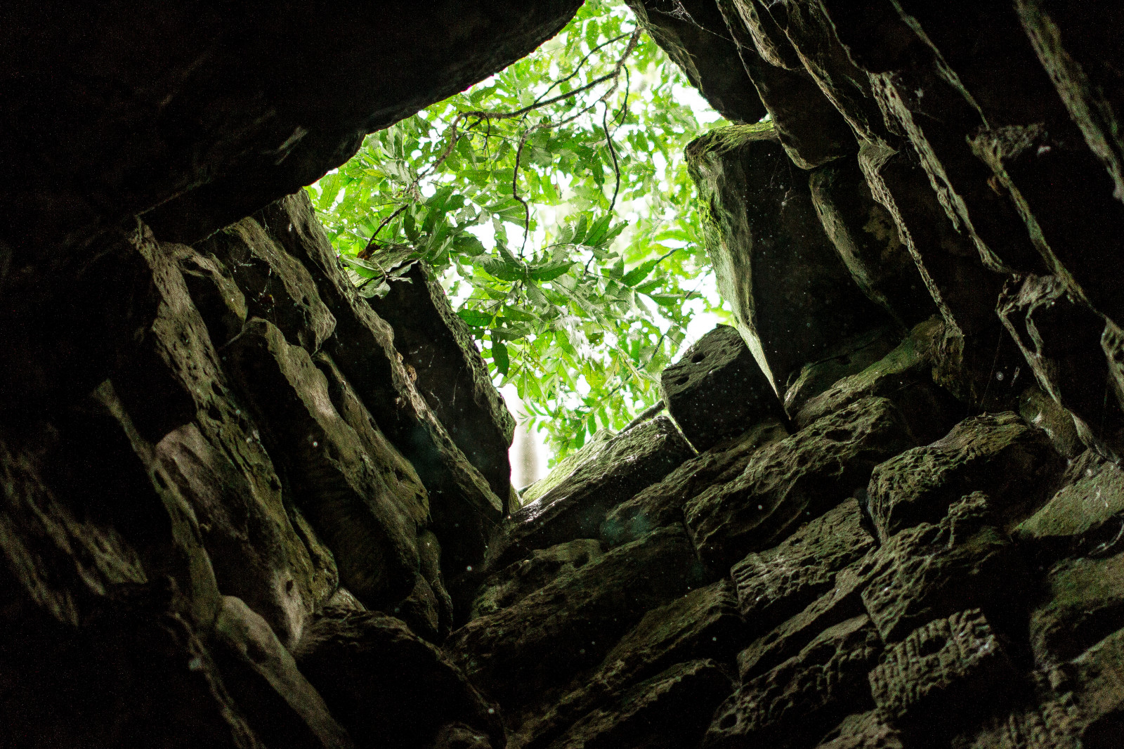 chrám, krajina, les, lidé, model, Asie, Skála, Příroda, ovoce, zelená, Kambodža, jeskyně, král, opice, džungle, mniši, hrobka, Formace, Angkor, strom, cestovat, list, flickr, bratr, divoký, hodiny, lodě, turista, místní, tma, kostým, natgeo, dámy, flickraward, batoh, khmer, pozadí, Siemreap, wat, Angkor Vat, cena, vydržet, flickrphoto, geologie, prales, Tomb Raider, zával, hádanka, Bayon, nájezdník, Thom, Prohlídky, Apsara, Koulen