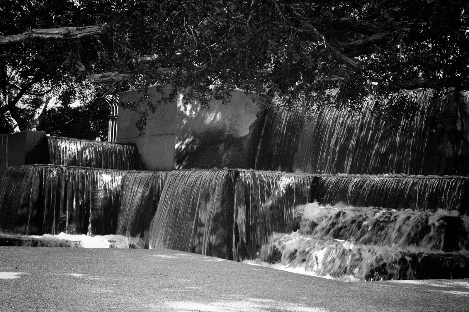 California, parco, circa, città, bw, Stati Uniti d'America, bianca, nero, ovest, acqua, di, fotografia, baia, noi, San, Francisco, Monotono, embarcadero, occidentale, levi, NorCal, settentrionale, caratteristica, Strauss