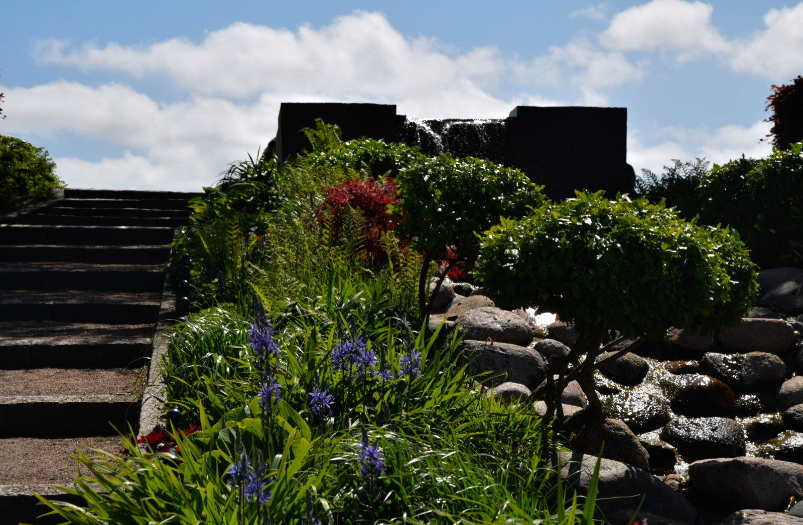 paesaggio, fiori, giardino, città, roccia, urbano, erba, parco, verde, fiorire, Svezia, cortile, tenuta, albero, fiore, cortile, pianta, all'aperto, uccello, fiore di ciliegio, flora, Malmo, Pildammsparken, prato, area rurale, botanica, arbusto