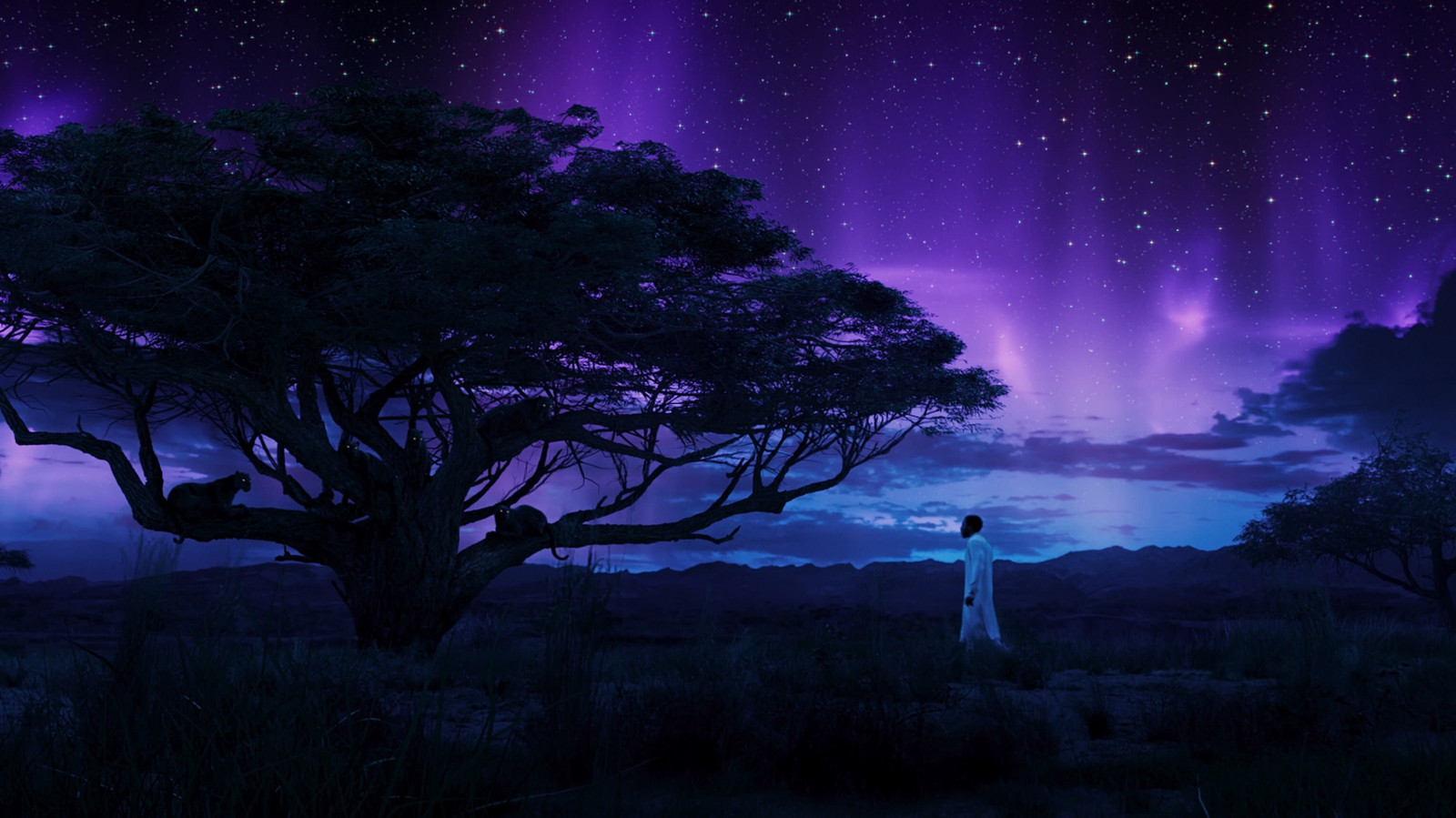 Marvel Universe Filmové, Černý panter