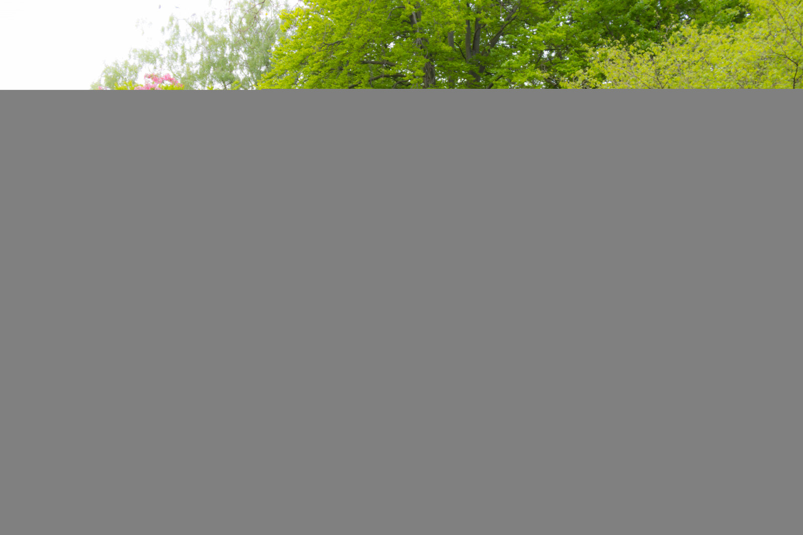 цвести, Забор, цветок, Blomma, Stadsparken, Треллеборг, линия, Мучить, почва