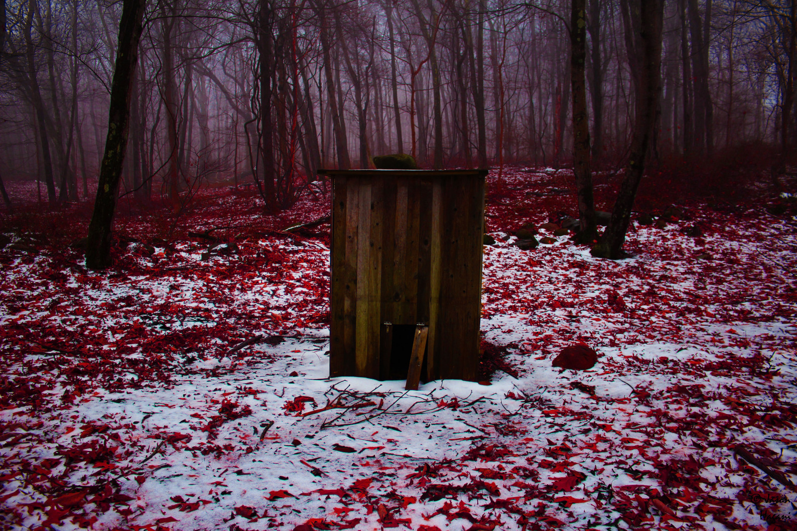 Creepy Red Forest Wallpaper