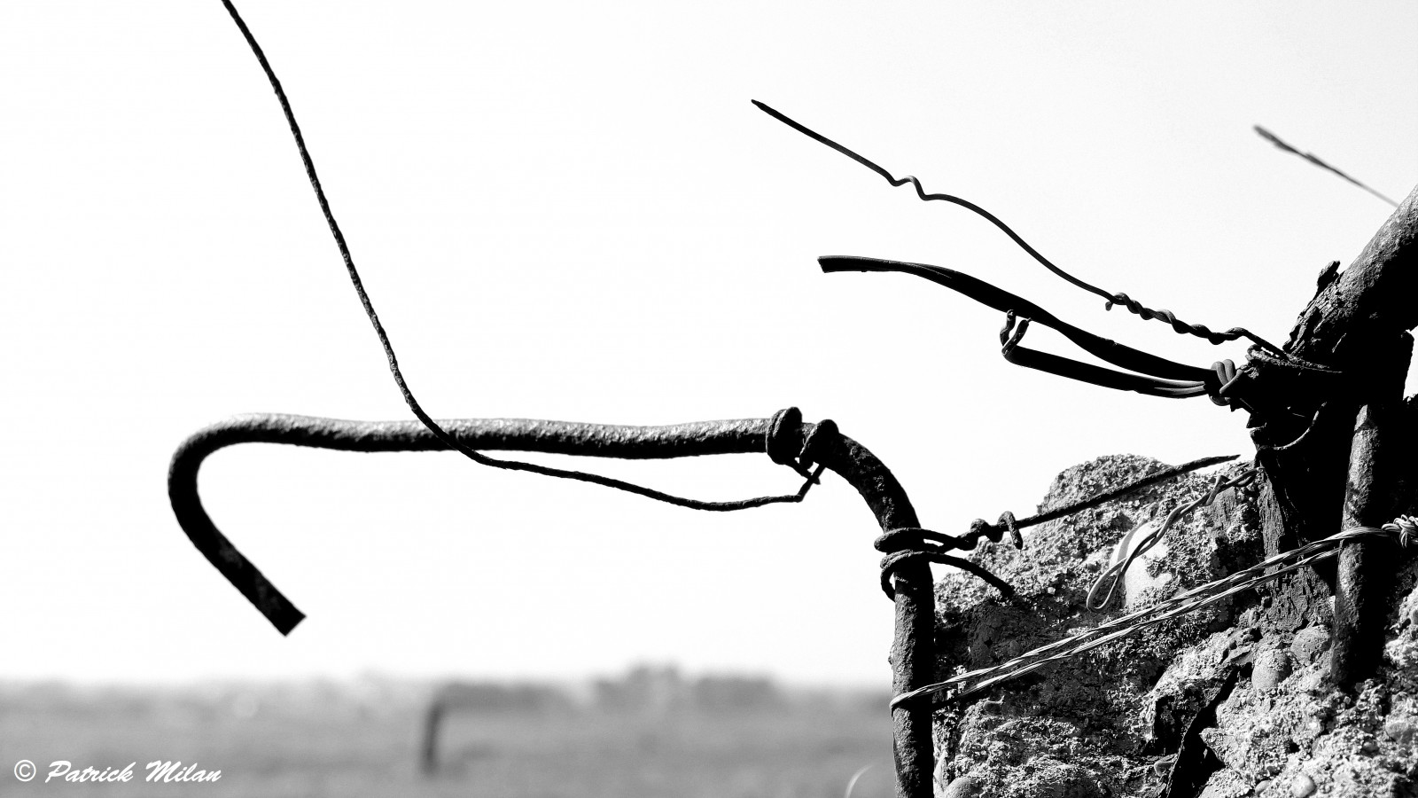 Černá, starý, černobílý, zřícenina, nebe, fotografování, větev, Dům, vrak, kov, rozklad, zlomený, zničený, zámek, strom, opustit, zřícenina, zapomenutý, vieux, větvička, Černý a bílý, monochromatické fotografování, oubli, hrad