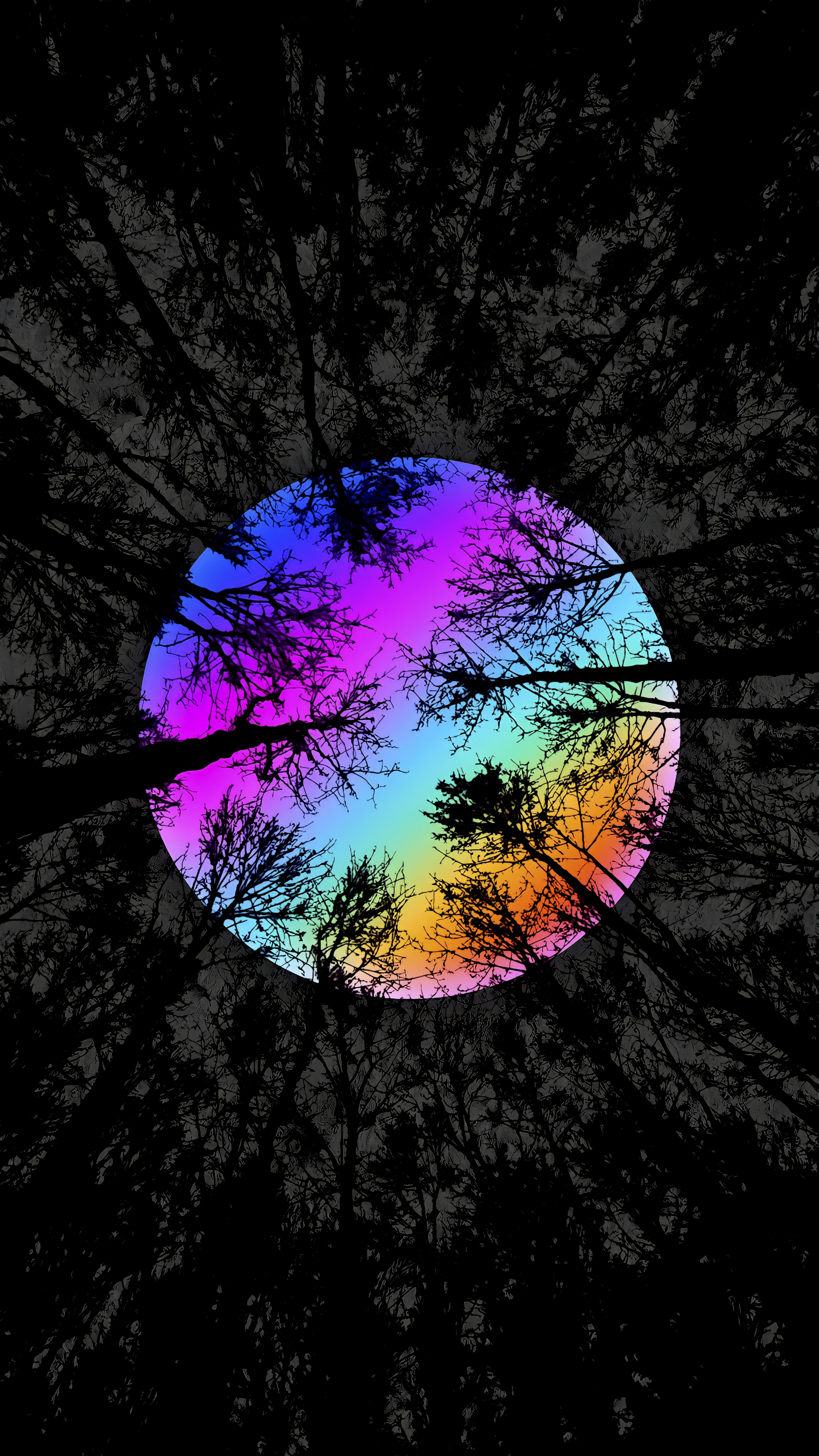 mraky, temný, měsíčními paprsky, les, stromy