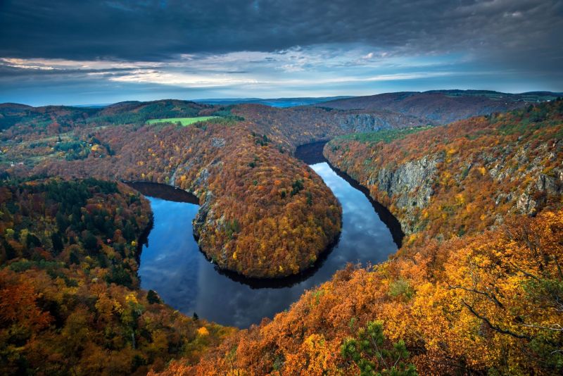 natura, paesaggio, acqua, alberi, foresta, vista aerea