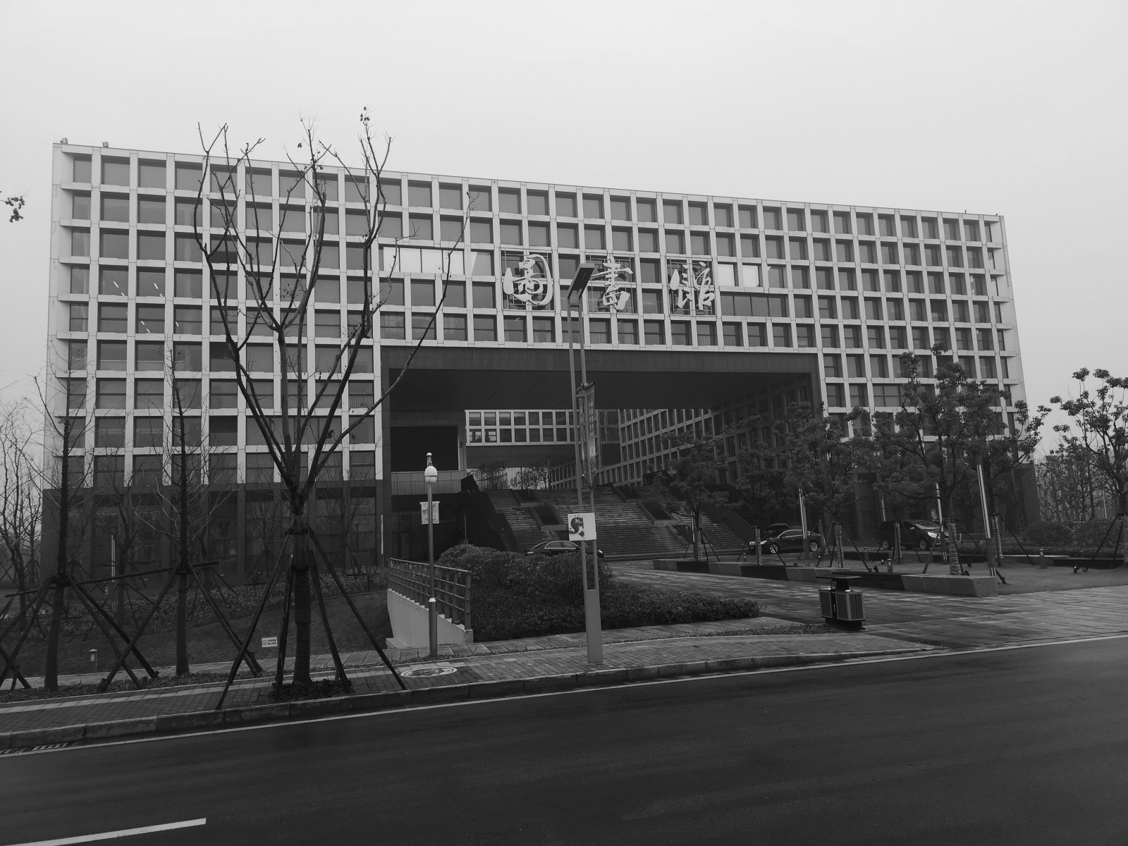 knihovna, budova, černobílý, ulice, město