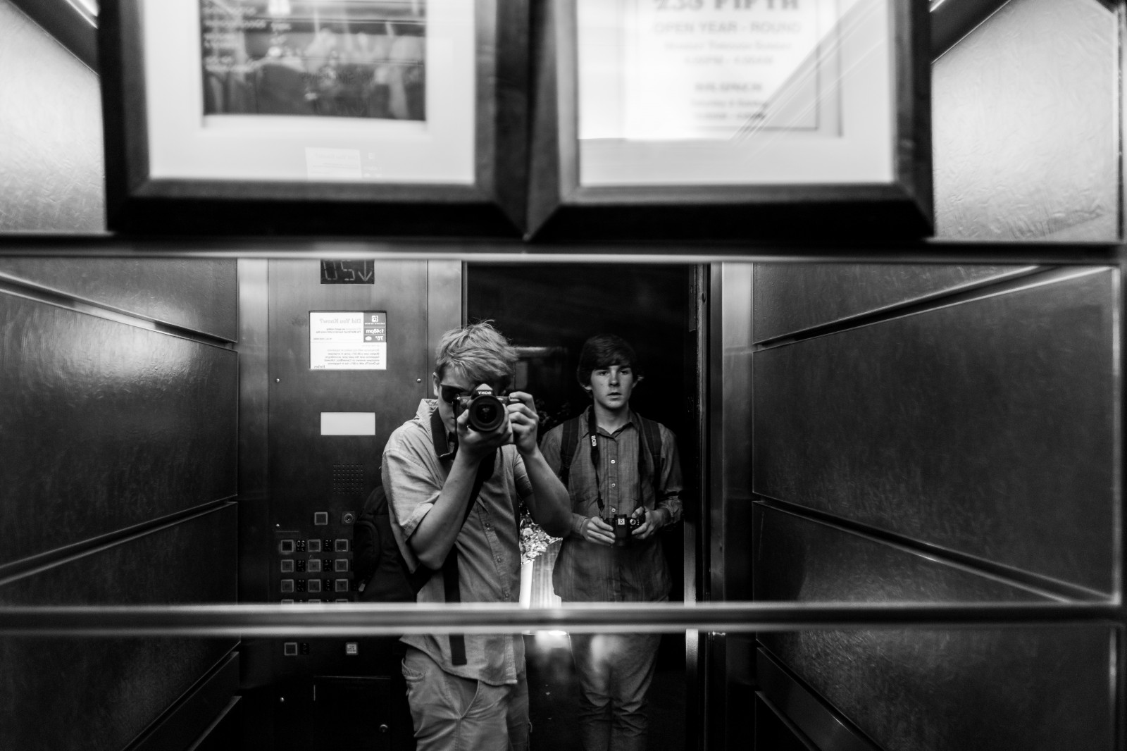 fotografie, Černá, Černý a bílý, monochromatické fotografování, fotografování, momentka, černobílý, stock photography, Film noir