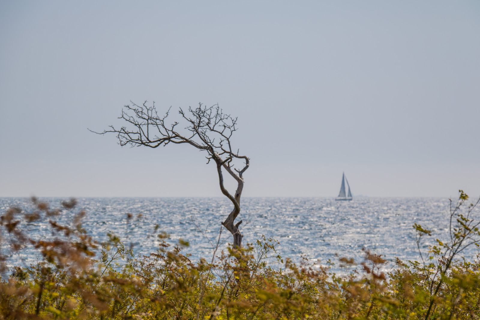 sollys, landskab, hav, bakke, sø, vand, natur, kyst, græs, himmel, vinter, afdeling, morgen, tåge, kyst, vind, horisont, ødemark, vådområde, Sky, træ, bjerg, plante, sæson, Vatten, tr d, hav, Smygehuk, exif model canoneos760d, geocountry, kamera gør kanon, geocity, kameramodel canoneos760d, geostate, geolocation, exif linse efs18200mmf3556is, exif gøre kanon, exif isospeed 100, exif åbning 90, exif focallength 130mm, marsk, landdistrikt, levested, naturligt miljø, atmosfærisk fænomen, vedplante, savanne