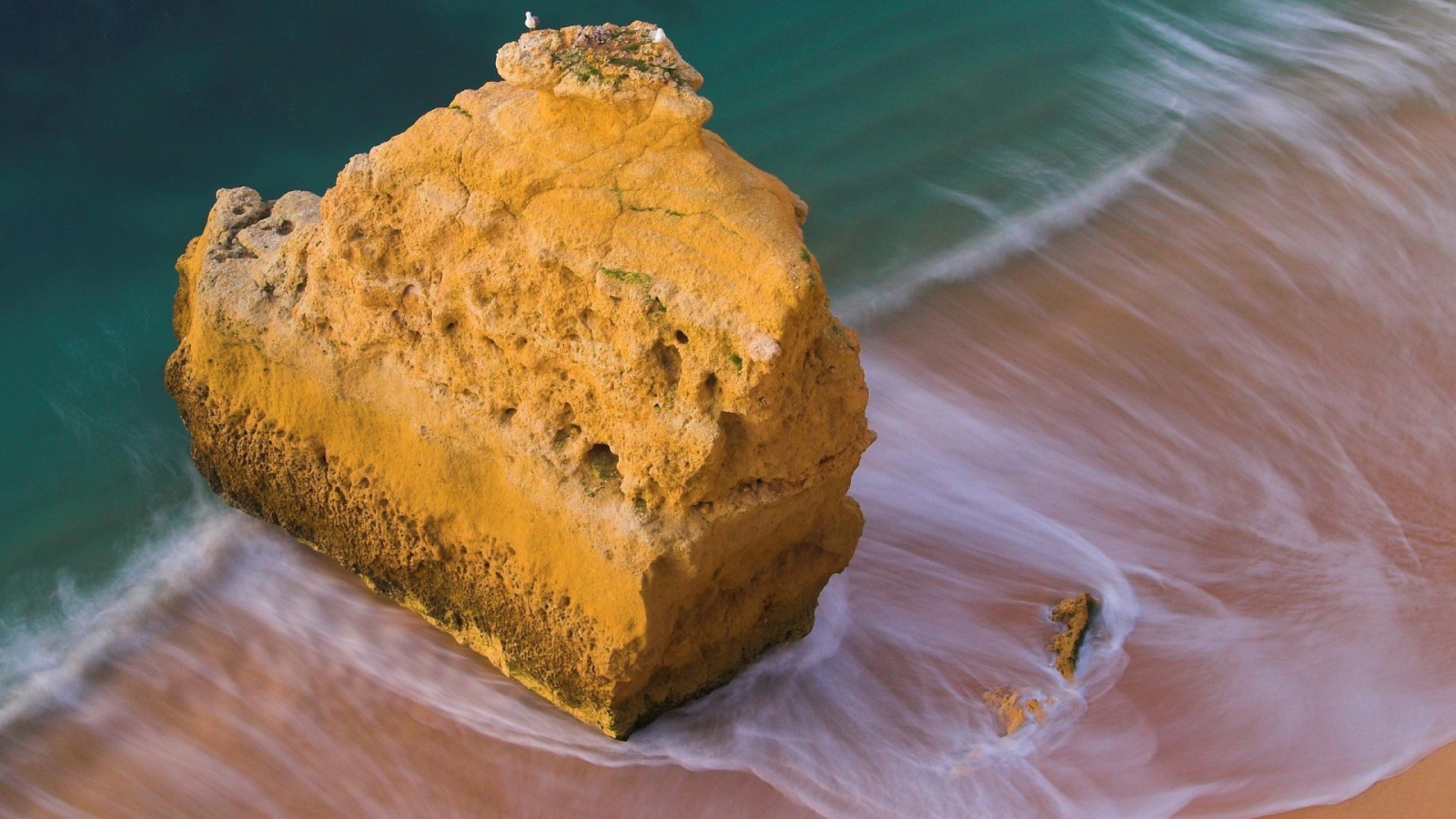krajina, ptactvo, jídlo, moře, voda, Skála, Příroda, dlouhé expozice, žlutý, vlny, pobřeží, dezert, pečení, list, květ, materiál, zblízka, makro fotografie