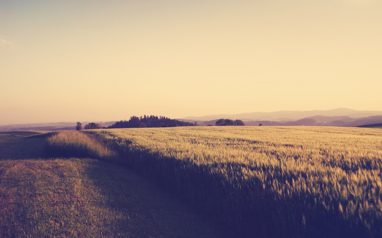 luce del sole, alberi, paesaggio, tramonto, collina, natura, sabbia, erba, cielo, piante, la neve, inverno, campo, fotografia, Alba, sera, mattina, nebbia, Sole, orizzonte, crepuscolo, steppa, nube, montagna, tempo metereologico, alba, prateria, stagione, pianura, prateria, area rurale, habitat, ambiente naturale, fenomeno atmosferico, famiglia di erba