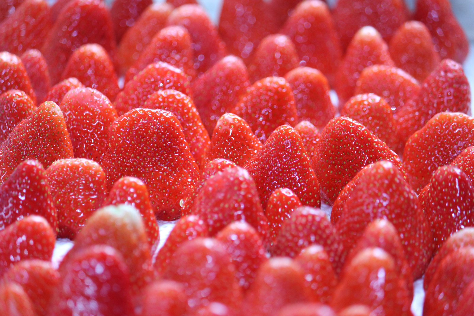 Wallpaper food, red, fruit, strawberries, berries, milk, plant, berry