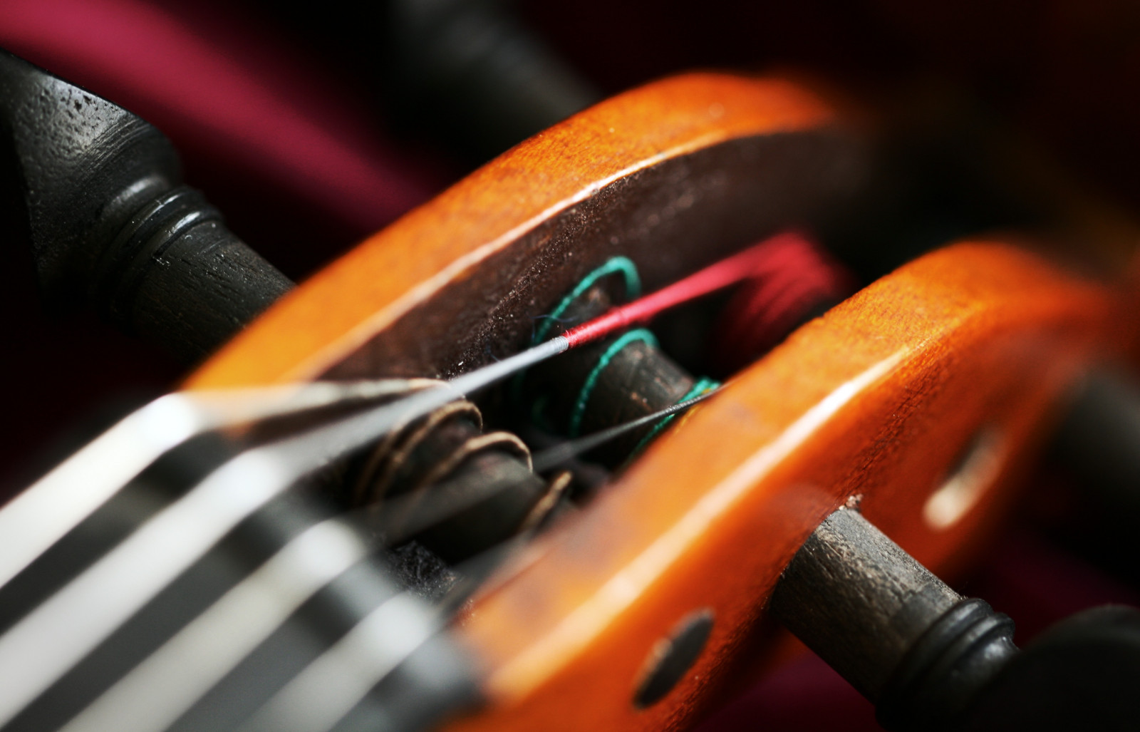 Wallpaper : music, violin, strings, macromondays, 100xthe2014edition ...