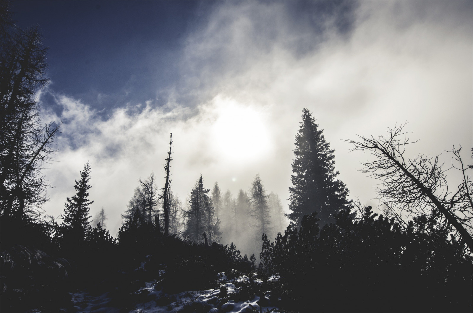 wallpaper : sunlight, snow, texture, explosion, dust,... Wallpaper : sunlight, trees, forest, nature, sky, snow, winter, branch ...