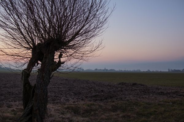 sunlight, landscape, sunset, nature, hill, grass