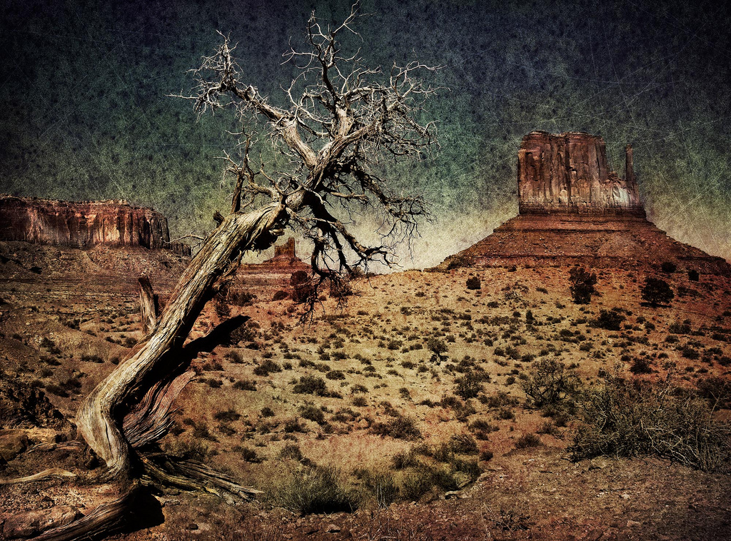 Červené, Arizona, hora, strom, textura, poušť, prozkoumat, redrock, monumentvalley, southwestus, magicunicornverybest