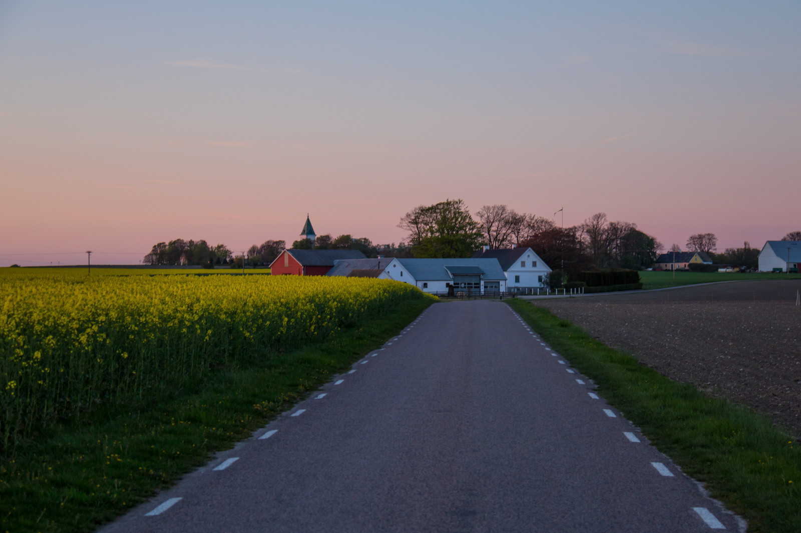 paesaggio, tramonto, collina, erba, cielo, campo, strada, sera, mattina, orizzonte, autostrada, crepuscolo, asfalto, infrastruttura, colza, nube, fiore, solnedg ng, campagna, landsbygd, rap, f lt, s dersl TT, Landskap, canola, rapefield, agricoltura, area rurale, atmosfera della terra, viaggio su strada