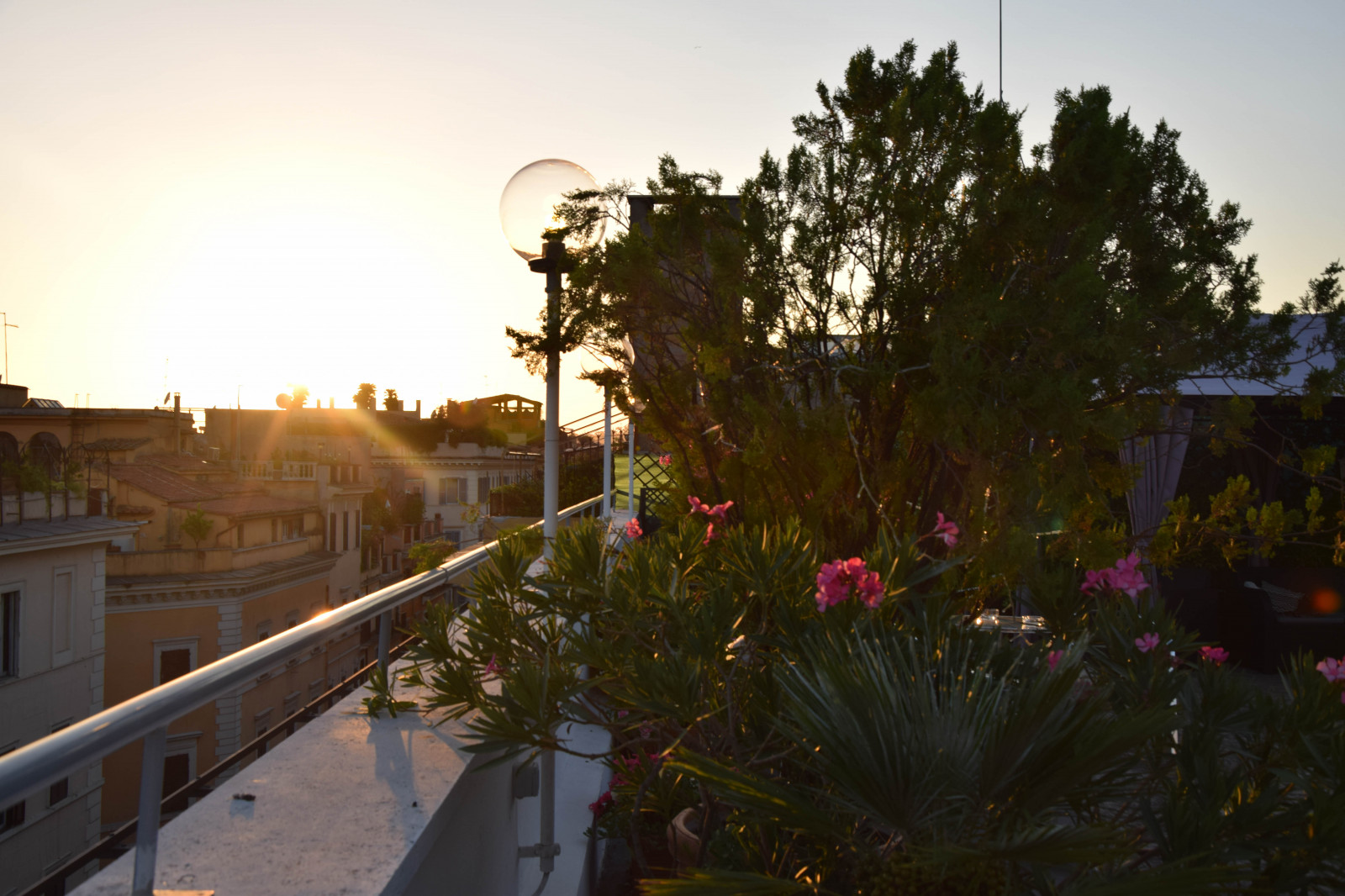 slunečnímu záření, západ slunce, město, Itálie, architektura, starověký, večer, ráno, Evropa, Řím, strom, květ, rostlina, solnedg ng, rom, pradávné město, roma, italien, viasistina, kinghotel, hotelking, arecales